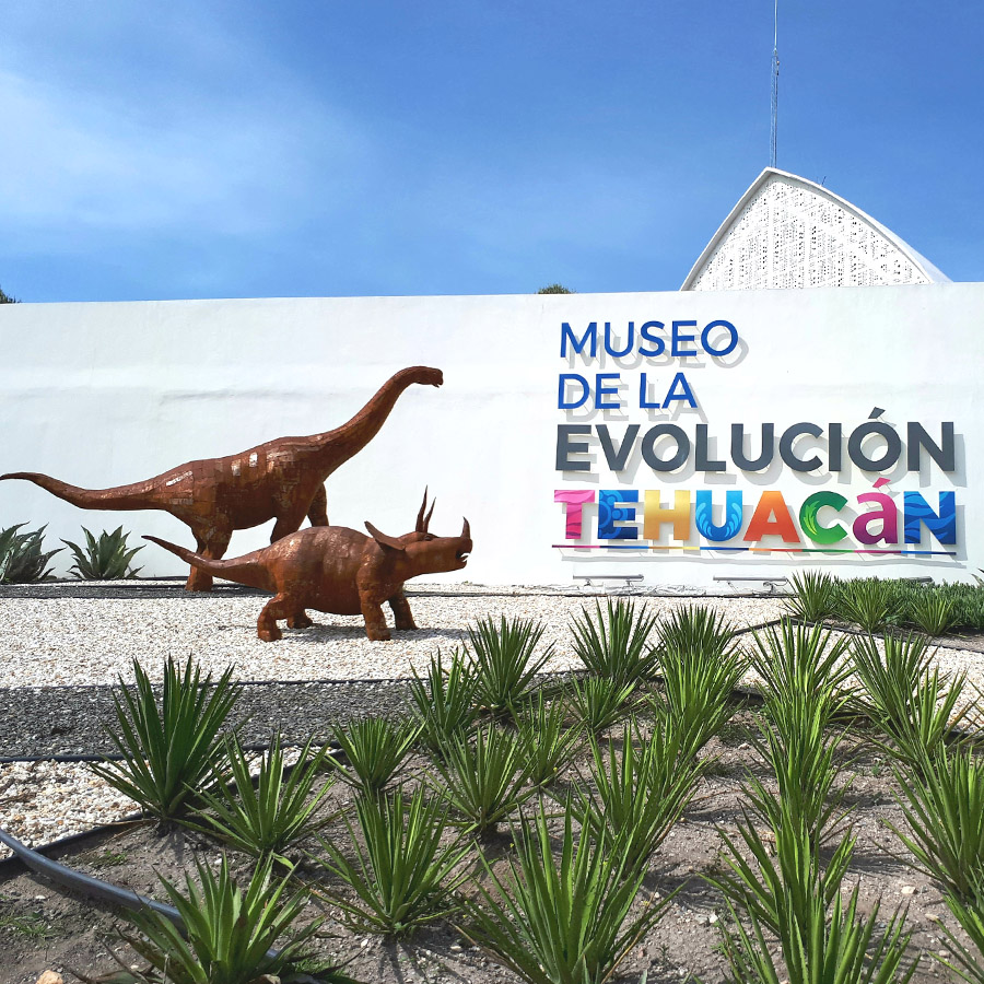 Museo de la Evolución Tehuacán | 101 Museos