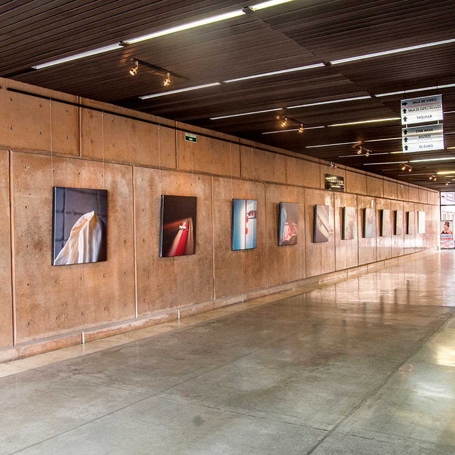 museo sc